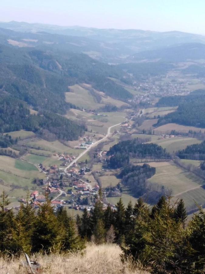 Ferienhaus Bauer Wohnung 2 Trattenbach  외부 사진