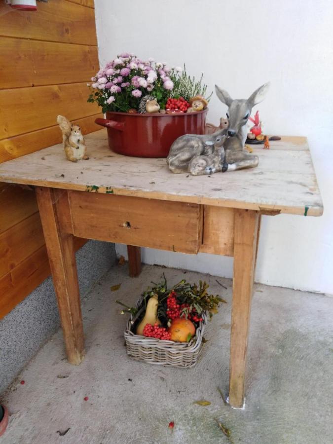 Ferienhaus Bauer Wohnung 2 Trattenbach  외부 사진